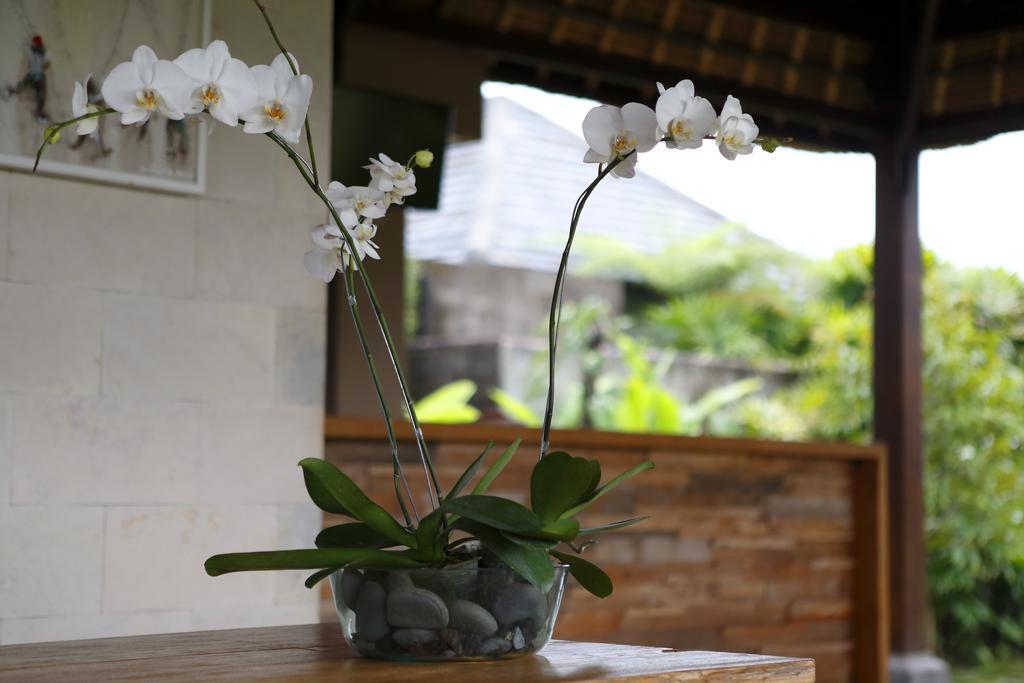 วิลล่า กายู ลามา อูบุด ภายนอก รูปภาพ